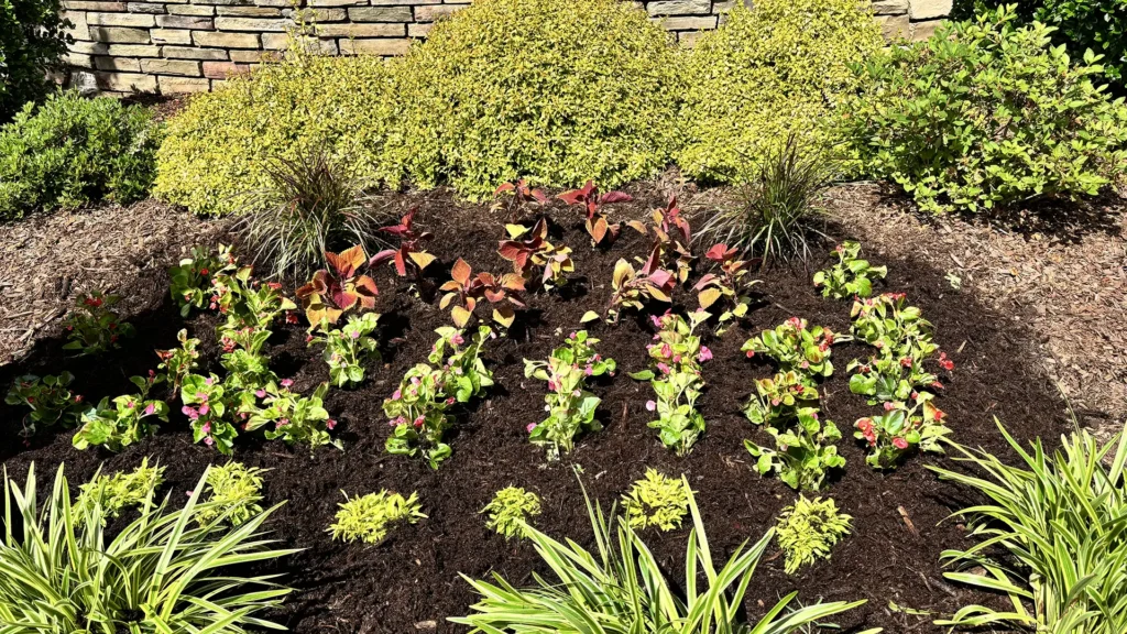 planting bed installation in Wake Forest NC