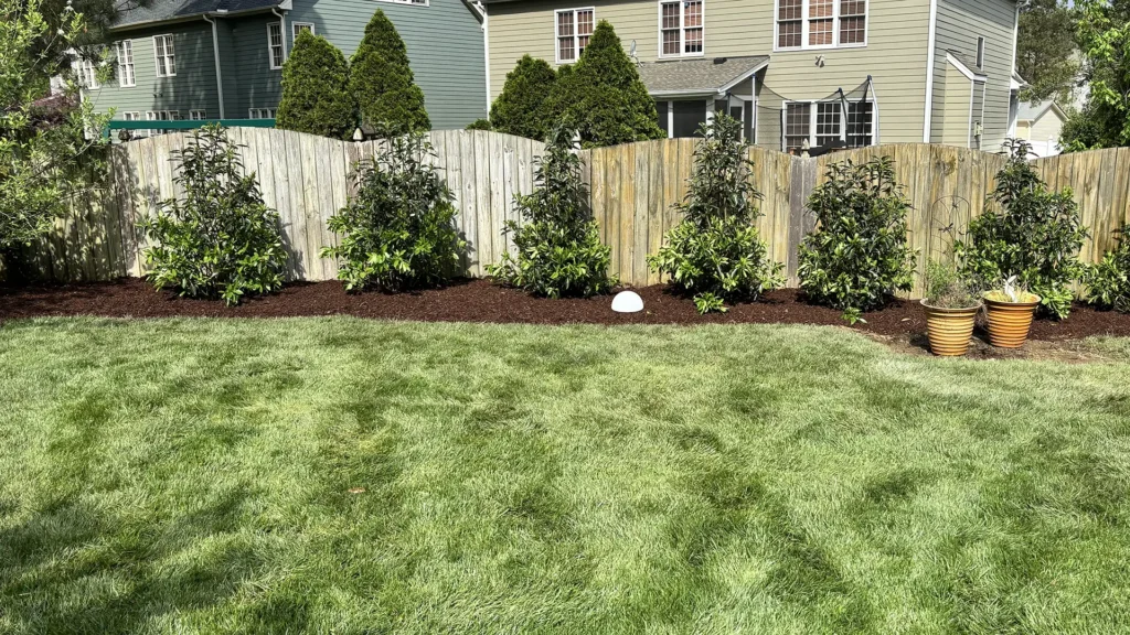 tree and shrub installation in Wake Forest NC