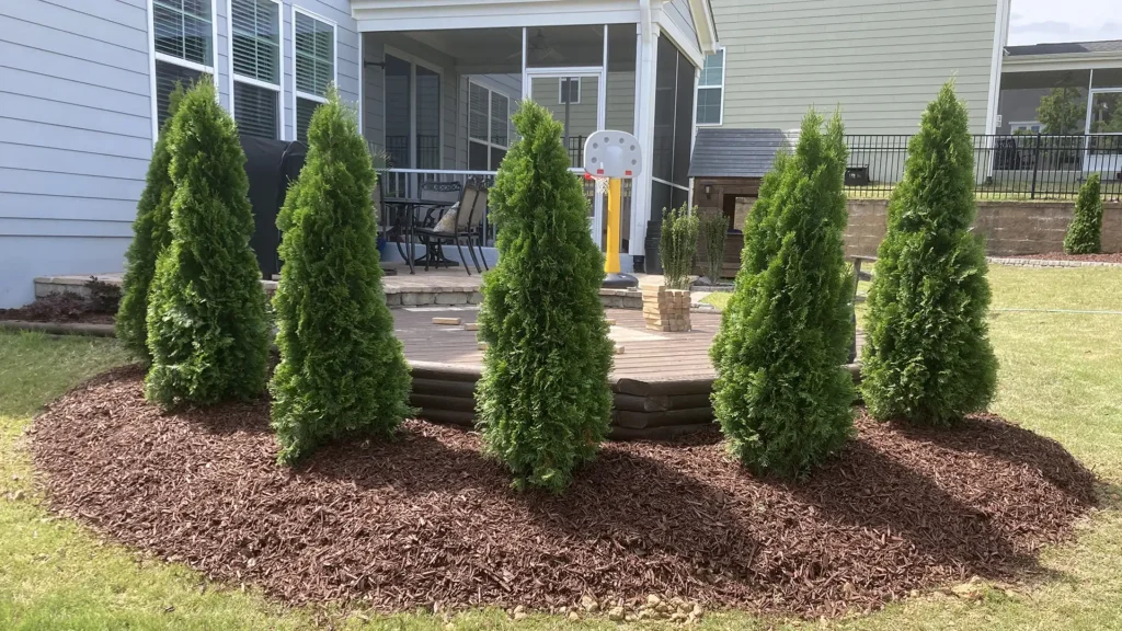 patio and walkway hardscaping in Wake Forest NC