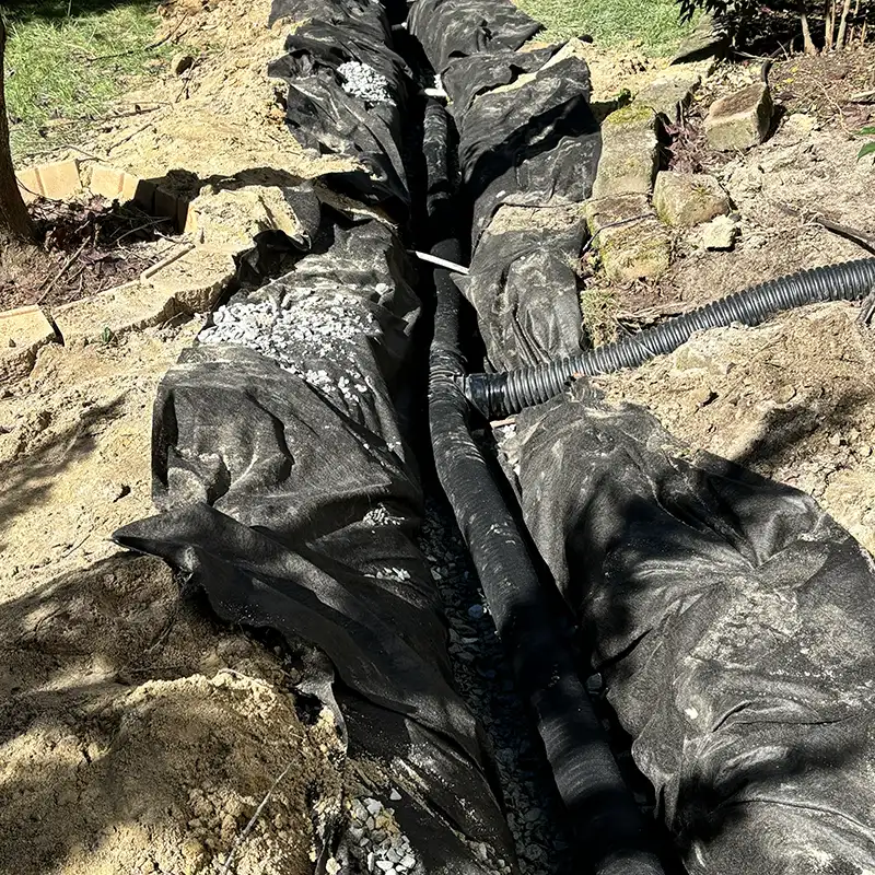 standing water drainage problem in Wake Forest yard