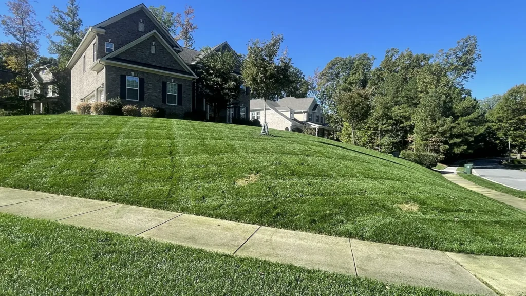 weekly lawn maintenance in Wake Forest NC