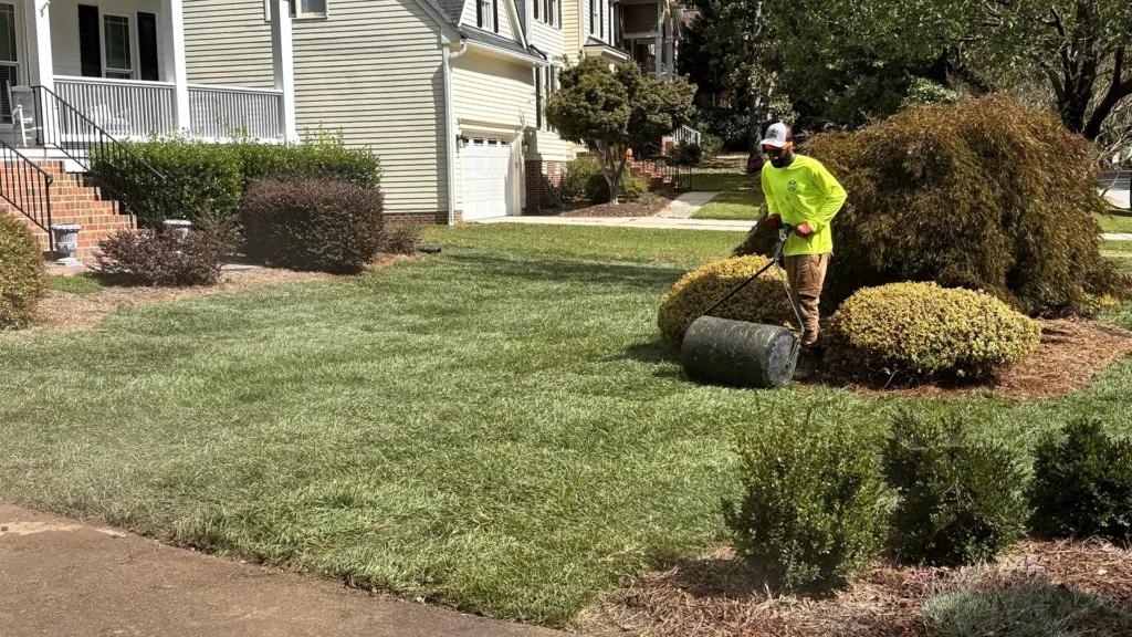 new sod lawn installed in Wake Forest NC