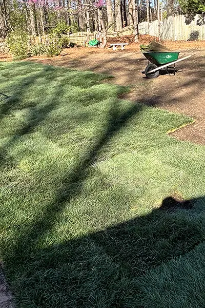 sod installation service in Wake Forest NC