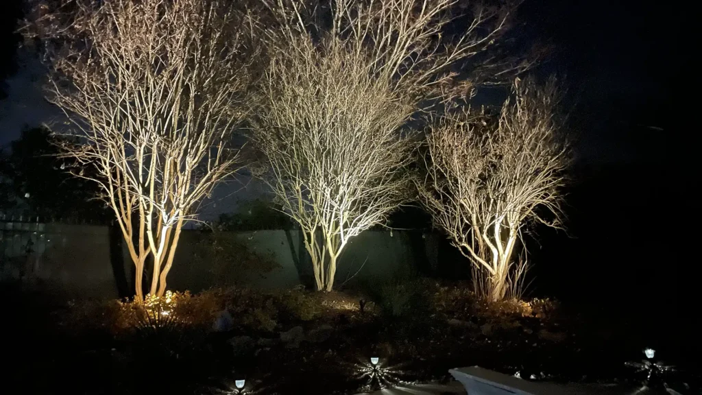 uplighting for trees and home exterior in Wake Forest NC